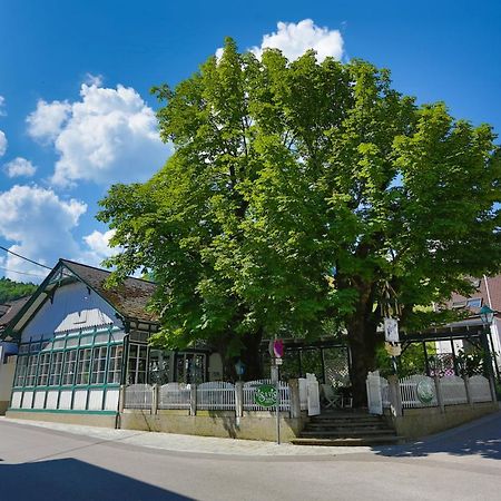 Apartment Welser Ybbsitz Bagian luar foto