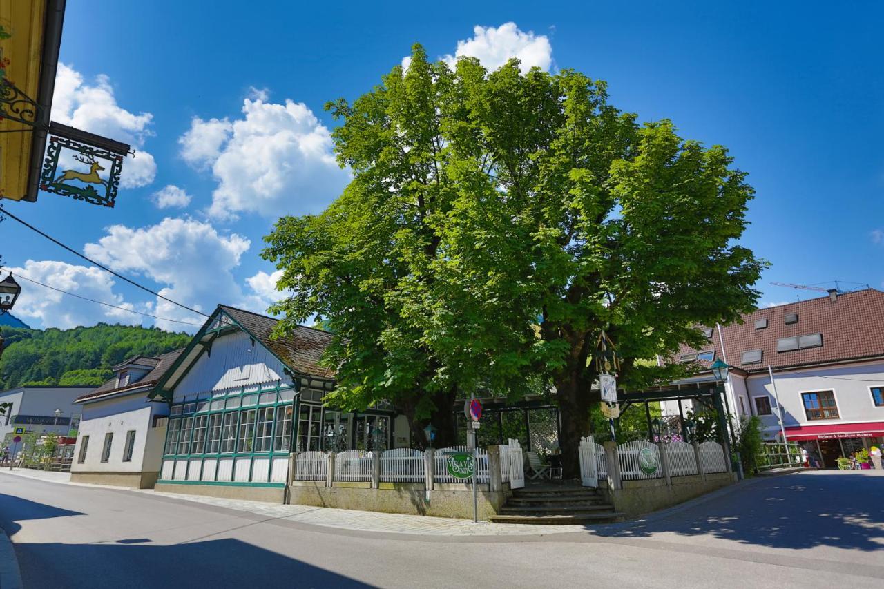 Apartment Welser Ybbsitz Bagian luar foto