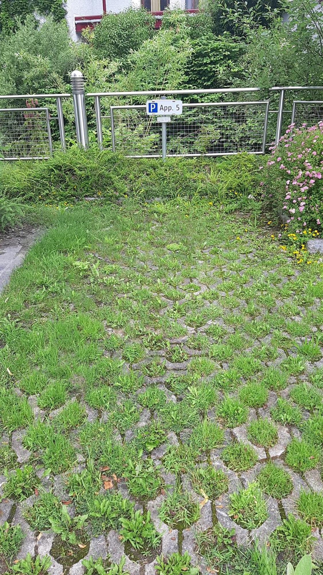 Apartment Welser Ybbsitz Bagian luar foto